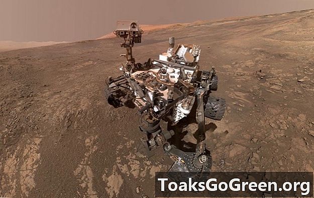Mount Sharp photobombs Mars rover selfie