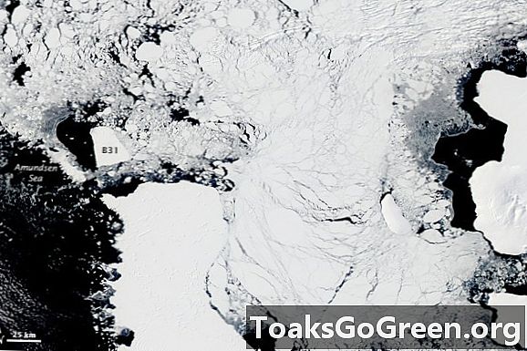 NASA seko izveicīgam aisbergam, kurš ir izbēdzis no Antarktīdas