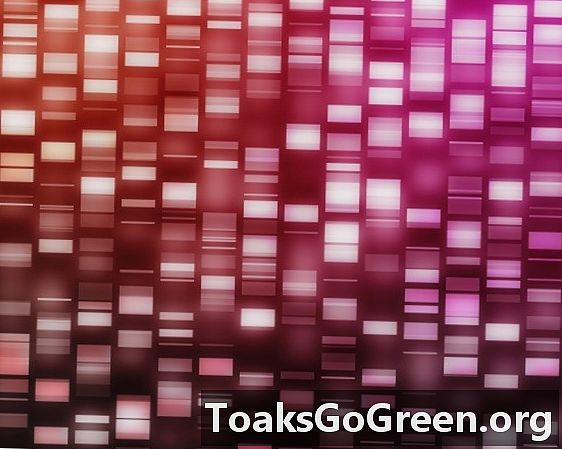 Nieuw apparaat kan menselijk DNA binnen enkele minuten met volledige genetische gegevens extraheren