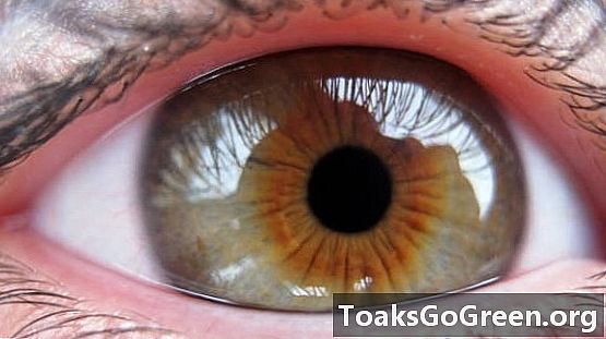 Otkriven je novi sloj ljudskog oka
