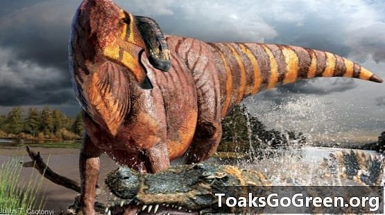 Dino yang baru ditemukan memiliki hidung besar, tetapi mengapa?