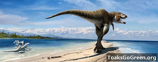 Äskettäin löydetty dinosaurus, nimeltään Gore King