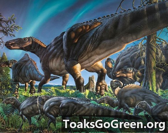 Novoobjavený dinosaurus putoval po severnej Aljaške
