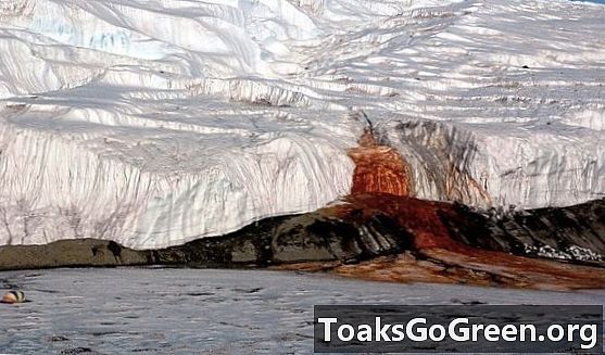 Air Terjun Darah yang menakutkan dari Antartika
