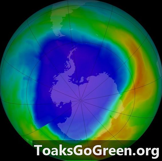 Buraco de ozônio 2013
