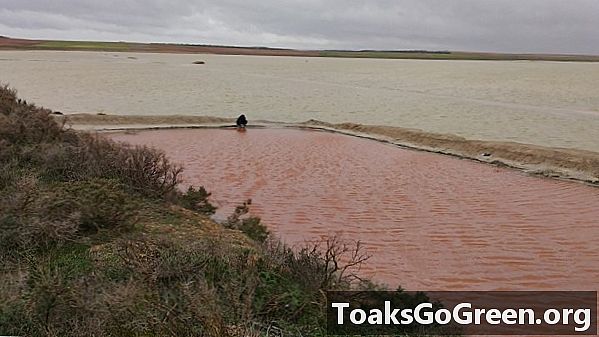 Pink lagoon biedt aanwijzingen voor mogelijk leven op Mars