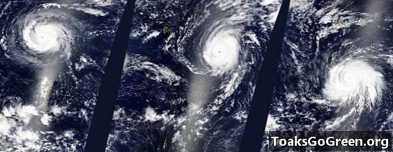 Рекордные три урагана категории 4 в Тихом океане