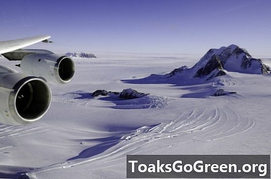 Vedci našli život pod pol kilometrom antarktického ľadu