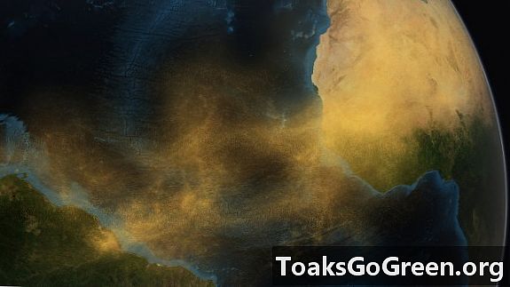 Saharastaub ernährt den Amazonas-Regenwald perfekt