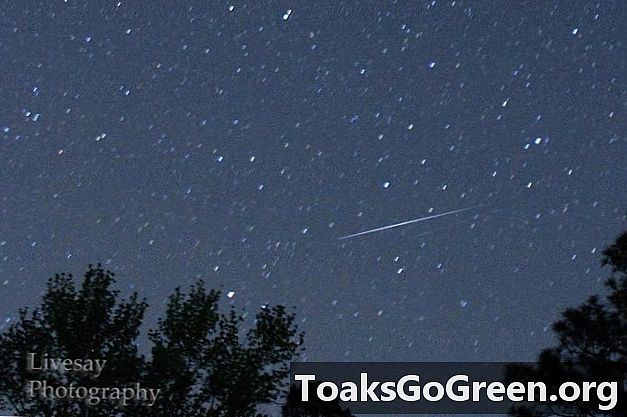 ¡Míralo! Fotos de lluvia de meteoros líridos