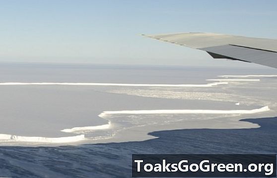 Antarktidos ledo lentynų traukimasis įsibėgėja
