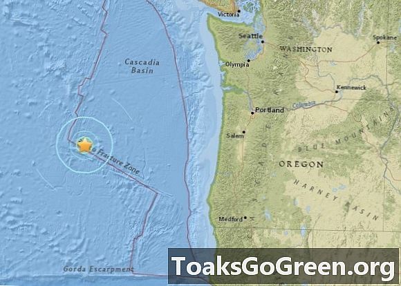 Oregonas piekrasti piemeklē spēcīga zemestrīce