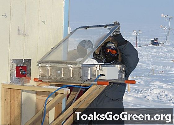 Solbelyst sne udløser atmosfærisk rengøring og ozonnedbrydning i Arktis