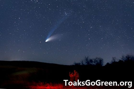 När är vår nästa stora komet?