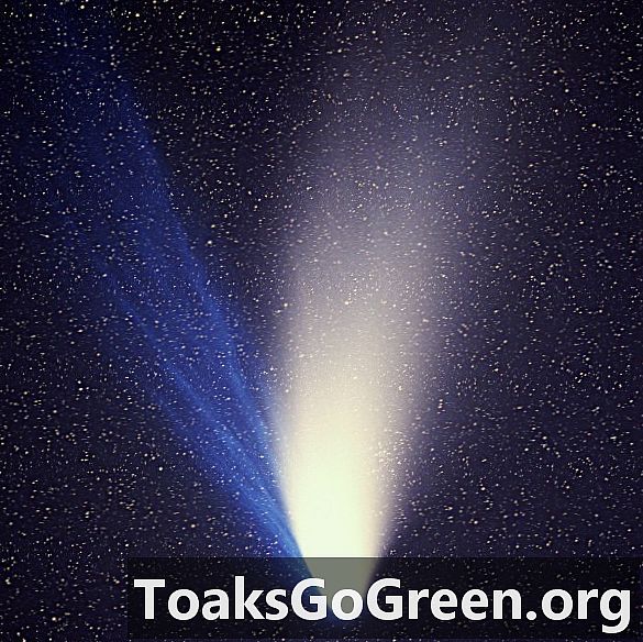 Šiandien moksle: Kometa Hale-Bopp