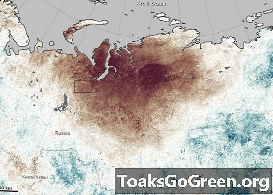 Sóng nhiệt bất thường tăng cường cháy rừng Siberia