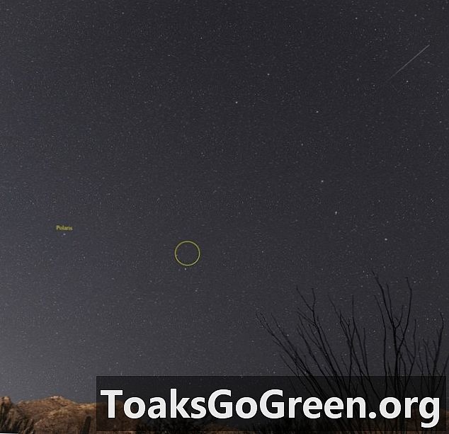 Ursidų meteorų pikas yra maždaug gruodžio saulėgrįža