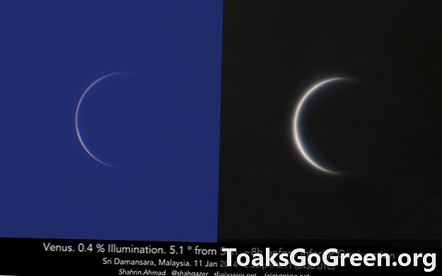 Vênus, cerca de 8 horas antes do dia 11 de janeiro