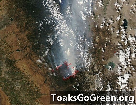 Blick aus dem Weltraum: California Rim Fire Update