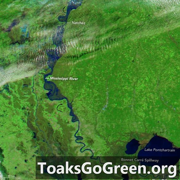 נוף מהחלל: נהר מיסיסיפי מוצף