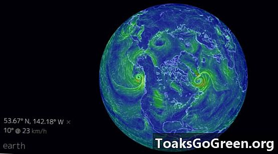 Šią savaitę vizualizuokite Žemės sistemas!