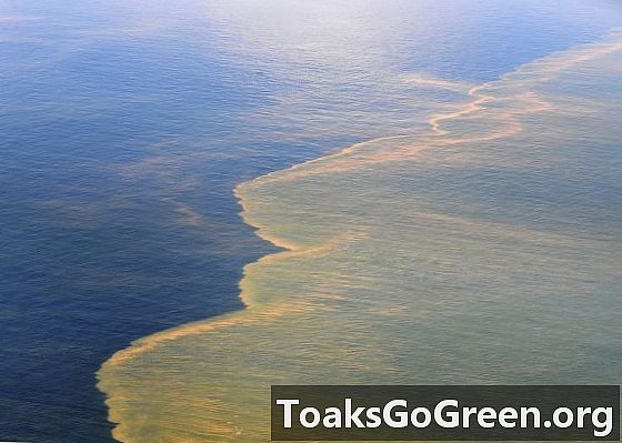 Waar is de ontbrekende Deepwater Horizon-olie?