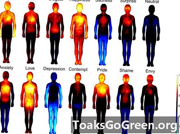 Wo wir Emotionen in unseren Körpern erleben