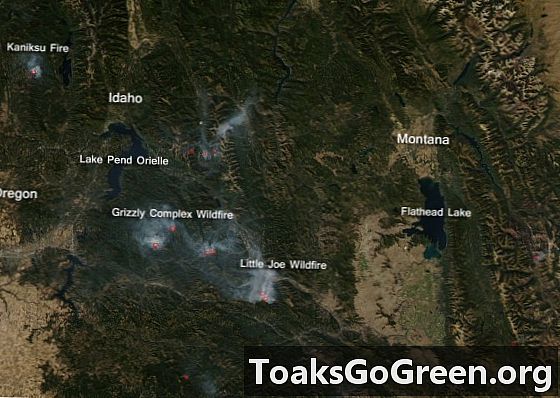 تستمر حرائق الغابات في غرب الولايات المتحدة